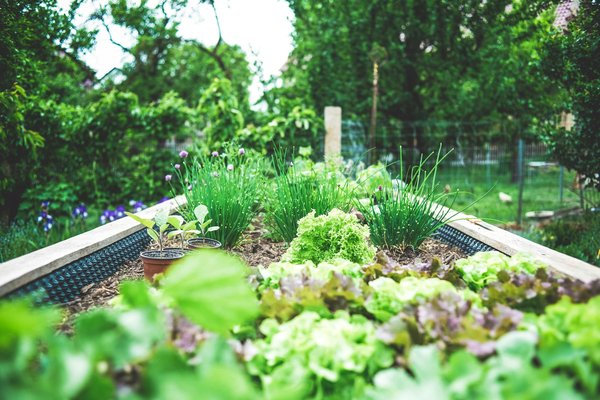 Comment utiliser la permaculture pour créer un jardin urbain autosuffisant ?